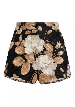 Dolce & Gabbana rose-print brocade high-waisted shorts - Black