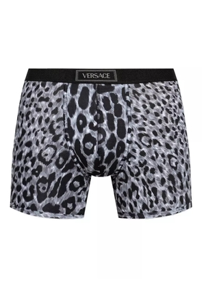 Versace leopard-print waistband boxers - Grey