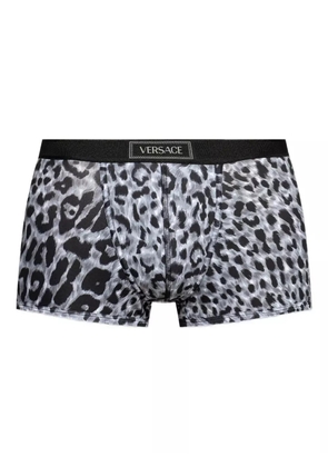 Versace leopard-print waistband boxers - Grey