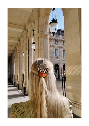 Solar Eclipse Hand-painted Tiger Moth Claw Hair Clip in Beauty: NA.