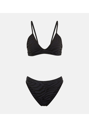 PrismÂ² Zebra Blissful bra and Envolve briefs set
