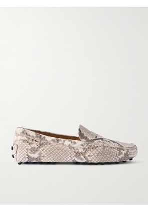 Tod's - Gommino Snake-effect Leather Loafers - Animal print - IT36,IT36.5,IT37,IT37.5,IT38,IT38.5,IT39,IT39.5,IT40,IT40.5,IT41,IT41.5,IT42