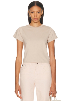 RENGGLI Crop Tee in Stone - Taupe. Size XL (also in L, XXL).