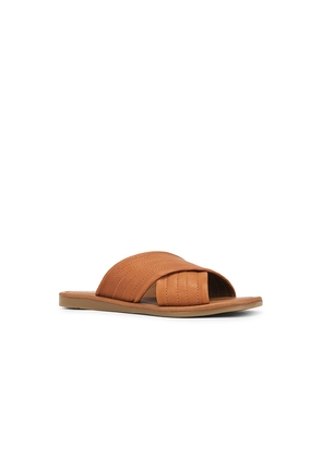 Seychelles Courage Sandal in Brown. Size 6. Also in 6.5, 7, 7.5, 8, 9.