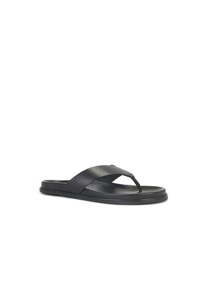 Tony Bianco Loop Sandal in Black. Size 37. Also in 36, 38, 40.