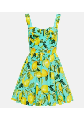 Dolce&Gabbana Printed cotton poplin minidress