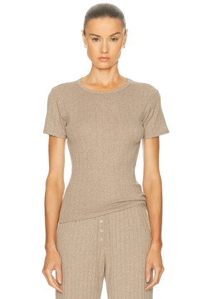 LESET Pointelle Slim Fit Tee in Beige Melange - Beige. Size L (also in M, S, XL, XS).