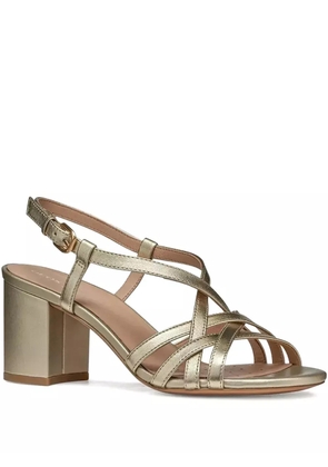 Geox 65mm crossover-straps block-heel heeled sandals - Gold