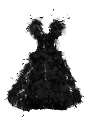 Ana Radu feather-embellished corset maxi dress - Black