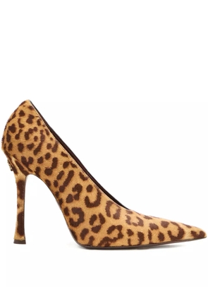Roberto Cavalli leopard-print pointed-toe pumps - Brown