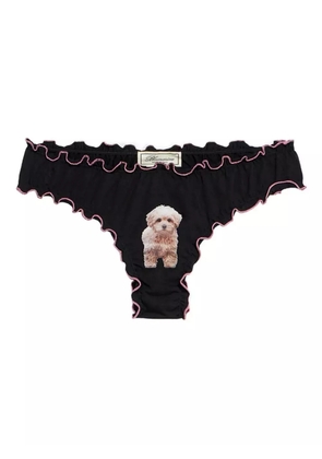 Blumarine ruffled puppy-print briefs - Black