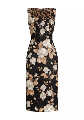 Dolce & Gabbana rose-print square-neck midi dress - Black