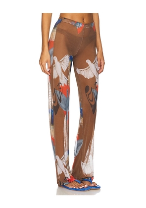 Juliet Johnstone Mesh Pant in Brown. Size L. Also in XL/1X, XS.