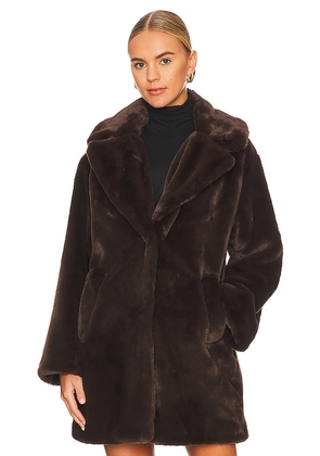 LAMARQUE Linnea Teddy Coat in Brown. Size L. Also in M, S.