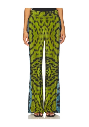 Muma World Pant in Green. Size L. Also in M, S, XS.