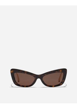 Dolce & Gabbana Dg Crystal Sunglasses - Woman Sunglasses Brown Acetate Onesize