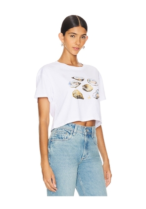 Polychrome Goods Oysters Crop Top in White. Size M. Also in L, S, XL, XS.