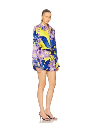 Muma World in The Garden Classic Shirt Dress in Blue,Yellow. Size L. Also in M, S, XS.