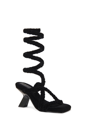 Nora Lozza Itza Trenza Sandal in Black. Size 10. Also in 6, 7, 8, 9.