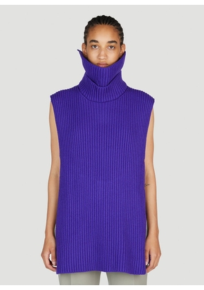 Jil Sander High Neck Sleeveless Sweater - Woman Knitwear Blue De - 34