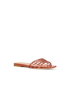 Veronica Beard Maris Jelly Sandal in Orange. Size 10. Also in 6.5, 7, 7.5, 8, 8.5.