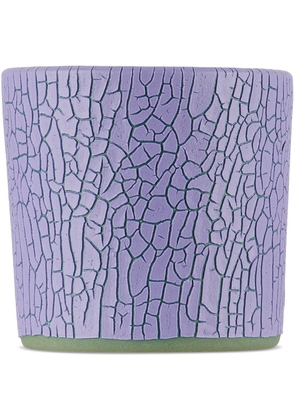 Houseplant Purple Crackle Candle By Seth, 13 oz