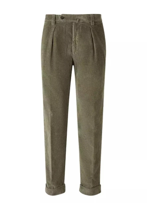 Berwich pleated corduroy trousers - Green