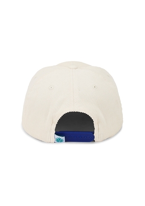 Sendero Provisions Co. Darlin' Cap in Cream.