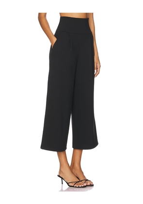 Susana Monaco High Waist Pant in Black. Size L. Also in M, S, XL, XS.
