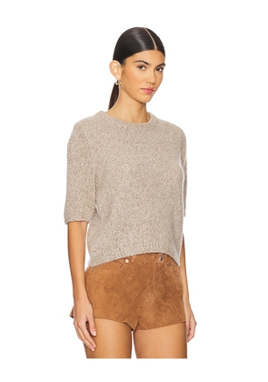 W. Cashmere Brenda Short Sleeve Pullover in Brown. Size M. Also in L, S, XL, XS.