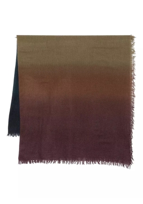 Faliero Sarti Chal Cristina ombre frayed-edge scarf - Brown