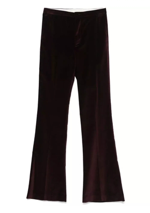 Merci velvet trousers - Purple