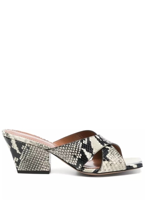 Paris Texas 60mm Arizona sandals - Black