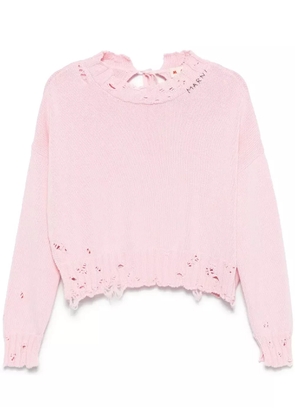 Marni dishevelled cotton sweater - Pink