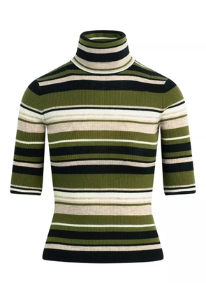 Favorite Daughter stripe turtleneck top - Green