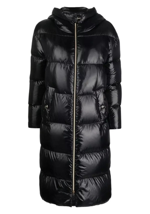 Herno quilted padded zipped coat - Black