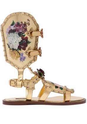 Dolce & Gabbana floral-motif gladiator sandals - Gold