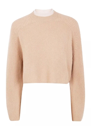 Max Mara ribbed wool sweater - Neutrals