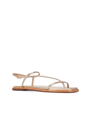 Kaanas Alayta Sandal in Metallic Gold. Size 5. Also in 11.