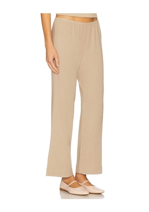 DONNI. Baby Rib Scallop Contrast Pant in Beige. Size L. Also in XL.