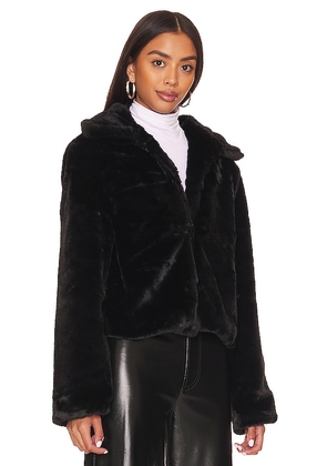 superdown Tianna Faux Fur Jacket in Black. Size L. Also in M, S, XL, XS, XXS.