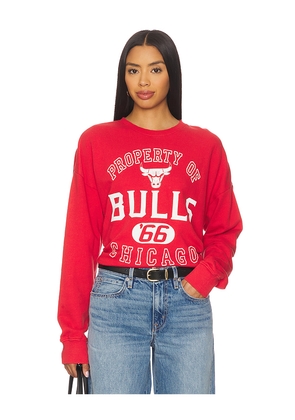 Junk Food Bulls Property sweatshirt in Red. Size L. Also in M, S, XL/1X, XS.