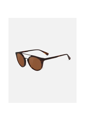 Brown Acetate Sunglasses