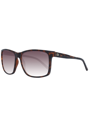 Brown Men Sunglasses