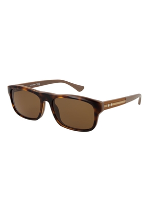 Brown Men Sunglasses