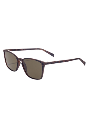 Brown Acetate Sunglasses