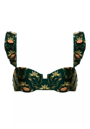 Agua By Agua Bendita Kiwi Esotérico floral-print bikini top - Green