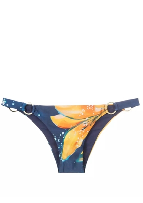Lenny Niemeyer floral-print bikini bottoms - Blue