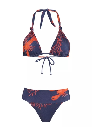 Brigitte graphic-print bikini - Blue
