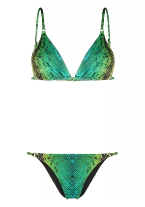 Noire Swimwear Snake Tanning bikini - Green
